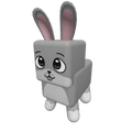 Bunny