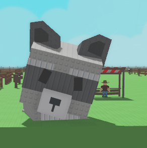HUGE Raccoons
