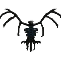 Skelly