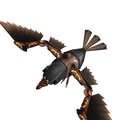 Steambird